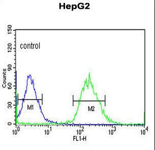 YMEL1 Antibody flow cytometry of HepG2 cells (right histogram) compared to a negative control cell (left histogram). FITC-conjugated goat-anti-rabbit secondary antibodies were used for the analysis.