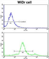 Flow cytometric of widr cells using YWHAG Antibody (bottom histogram) compared to a negative control cell (top histogram)FITC-conjugated goat-anti-rabbit secondary antibodies were used for the analysis.