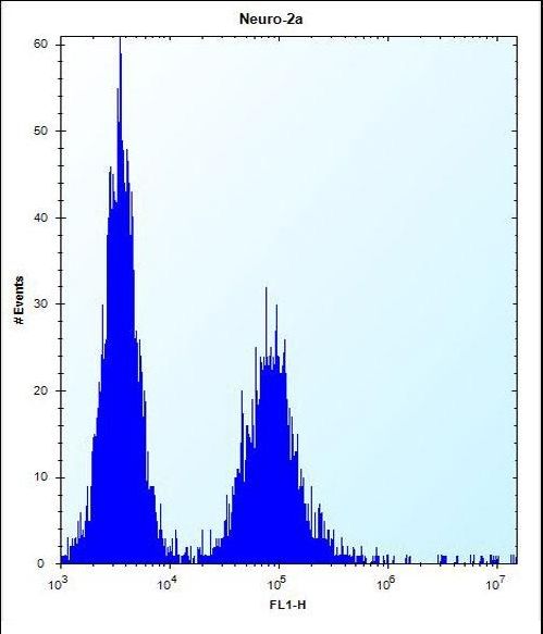 ZC3H8 Antibody flow cytometry of Neuro-2a cells (right histogram) compared to a negative control cell (left histogram). FITC-conjugated donkey-anti-rabbit secondary antibodies were used for the analysis.