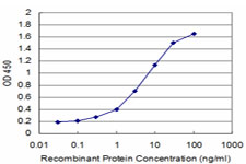 Detection limit for recombinant GST tagged ZFHX3 is approximately 0.3 ng/ml as a capture antibody.