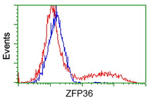 HEK293T cells transfected with either overexpress plasmid (Red) or empty vector control plasmid (Blue) were immunostained by anti-ZFP36 antibody, and then analyzed by flow cytometry.