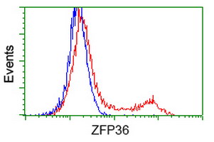 HEK293T cells transfected with either overexpress plasmid (Red) or empty vector control plasmid (Blue) were immunostained by anti-ZFP36 antibody, and then analyzed by flow cytometry.