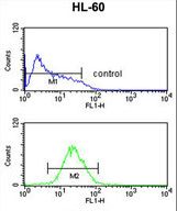 TNFRSF14 Antibody flow cytometry of HL-60 cells (bottom histogram) compared to a negative control cell (top histogram). FITC-conjugated goat-anti-rabbit secondary antibodies were used for the analysis.