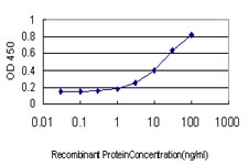 Detection limit for recombinant GST tagged TNFRSF17 is approximately 0.3 ng/ml as a capture antibody.