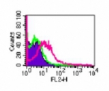 Flow analysis of GITR in mouse splenocytes using 0.1 ug/10^6 cells of antibody. Shaded histogram represents cells without antibody; green represents isotype control; red represents anti-GITR antibody.