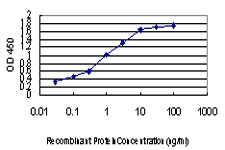 Detection limit for recombinant GST tagged ZIC4 is approximately 0.03 ng/ml as a capture antibody.