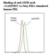 Flow cytometry of TNFRSF18 / GITR antibody