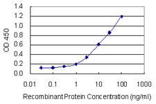 Detection limit for recombinant GST tagged ZNF134 is 0.1 ng/ml as a capture antibody.