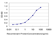 Detection limit for recombinant GST tagged ZNF136 is approximately 0.1 ng/ml as a capture antibody.