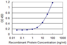Detection limit for recombinant GST tagged ZNF193 is 0.3 ng/ml as a capture antibody.