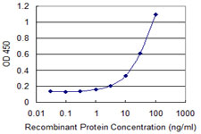 Detection limit for recombinant GST tagged ZNF232 is 1 ng/ml as a capture antibody.
