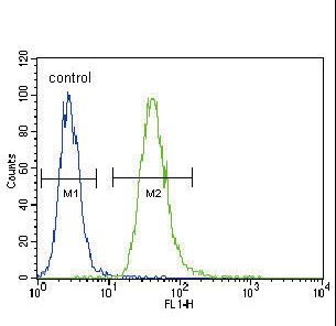 TNFR-S274 Antibody flow cytometry of A549 cells (right histogram) compared to a negative control cell (left histogram). FITC-conjugated goat-anti-rabbit secondary antibodies were used for the analysis.