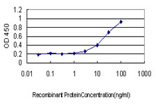 Detection limit for recombinant GST tagged ZNF37A is approximately 1 ng/ml as a capture antibody.