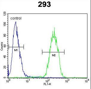 TNFRSF6B Antibody flow cytometry of 293 cells (right histogram) compared to a negative control cell (left histogram). FITC-conjugated goat-anti-rabbit secondary antibodies were used for the analysis.