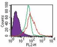 Intracellular staining by FACS analysis of TLR7 in human PBMCs using LS-B4828 at2 ug/ml. Shaded histogram represents cells alone; green represents rabbit IgG isotype control, ; red represents anti-TLR7 antibody. Goat anti-rabbit PE, was used as secondary.