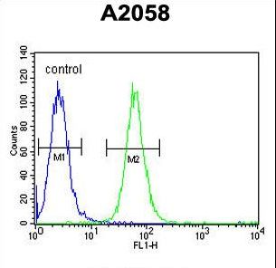 ABHEB Antibody flow cytometry of A2058 cells (right histogram) compared to a negative control cell (left histogram). FITC-conjugated goat-anti-rabbit secondary antibodies were used for the analysis.