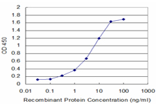 Detection limit for recombinant GST tagged ALOX12 is approximately 0.3 ng/ml as a capture antibody.