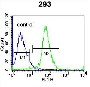 TNFSF15 Antibody flow cytometry of 293 cells (right histogram) compared to a negative control cell (left histogram). FITC-conjugated goat-anti-rabbit secondary antibodies were used for the analysis.