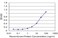Detection limit for recombinant GST tagged KAL1 is approximately 1 ng/ml as a capture antibody.