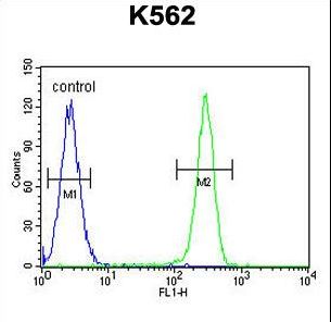 TNFSF4 Antibody flow cytometry of K562 cells (right histogram) compared to a negative control cell (left histogram). FITC-conjugated goat-anti-rabbit secondary antibodies were used for the analysis.