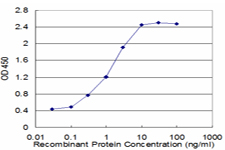Detection limit for recombinant GST tagged TNKS is approximately 0.1 ng/ml as a capture antibody.