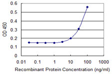 Detection limit for recombinant GST tagged CCBL1 is 3 ng/ml as a capture antibody.