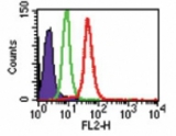 Intracellular flow analysis of TLR8 in Ramos cells using 2 ug of LS-C148147. Shaded histogram represents Ramos cells without antibody; green represents isotype control, ; red represents anti-TLR8 antibody.