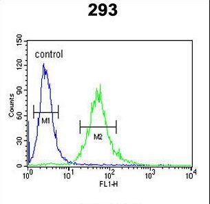 CEA Antibody flow cytometry of 293 cells (right histogram) compared to a negative control cell (left histogram). FITC-conjugated goat-anti-rabbit secondary antibodies were used for the analysis.