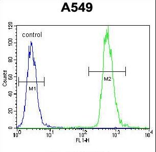 WDR52 Antibody flow cytometry of A549 cells (right histogram) compared to a negative control cell (left histogram). FITC-conjugated goat-anti-rabbit secondary antibodies were used for the analysis.