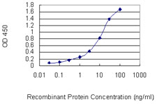 Detection limit for recombinant GST tagged CHAF1B is 0.1 ng/ml as a capture antibody.
