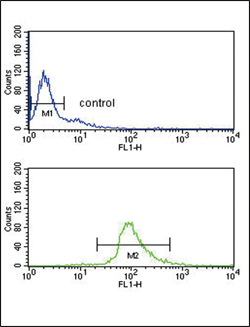 DCT Antibody flow cytometry of Ramos cells (bottom histogram) compared to a negative control cell (top histogram). FITC-conjugated goat-anti-rabbit secondary antibodies were used for the analysis.