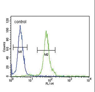 DFFB Antibody flow cytometry of 293 cells (right histogram) compared to a negative control cell (left histogram). FITC-conjugated goat-anti-rabbit secondary antibodies were used for the analysis.