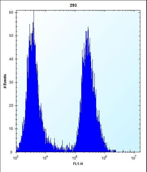EIF2B1 Antibody flow cytometry of 293 cells (right histogram) compared to a negative control cell (left histogram). FITC-conjugated goat-anti-rabbit secondary antibodies were used for the analysis.