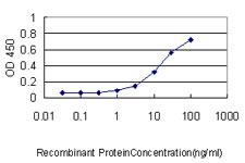 Detection limit for recombinant GST tagged EIF2B2 is approximately 0.3 ng/ml as a capture antibody.