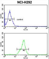 TOB1 Antibody flow cytometry of NCI-H292 cells (bottom histogram) compared to a negative control cell (top histogram). FITC-conjugated goat-anti-rabbit secondary antibodies were used for the analysis.