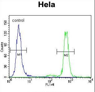 MAPK3 Antibody flow cytometry of HeLa cells (right histogram) compared to a negative control cell (left histogram). FITC-conjugated goat-anti-rabbit secondary antibodies were used for the analysis.