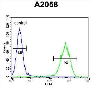 C6orf70 Antibody flow cytometry of A2058 cells (right histogram) compared to a negative control cell (left histogram). FITC-conjugated goat-anti-rabbit secondary antibodies were used for the analysis.