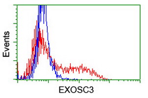 HEK293T cells transfected with either overexpress plasmid (Red) or empty vector control plasmid (Blue) were immunostained by anti-EXOSC3 antibody, and then analyzed by flow cytometry.