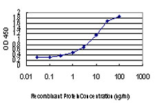 Detection limit for recombinant GST tagged EXOSC3 is approximately 0.03 ng/ml as a capture antibody.