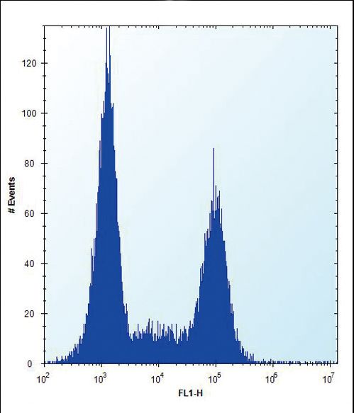 TLR9 Antibody flow cytometry of Ramos cells (right histogram) compared to a negative control cell (left histogram). FITC-conjugated donkey-anti-rabbit secondary antibodies were used for the analysis.
