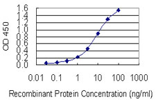 Detection limit for recombinant GST tagged HELLS is 0.1 ng/ml as a capture antibody.