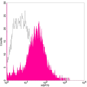Flow cytometry of HEK-293 cells using Rabbit Anti-HSP70 Polyclonal Antibody (shaded histogram) or with an isotype control antibody (open histogram), followed by R-PE conjugated anti-rabbit IgG.