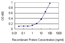 Detection limit for recombinant GST tagged HNRNPU is 0.3 ng/ml as a capture antibody.