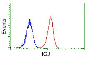 Flow cytometry of Jurkat cells, using anti-IGJ antibody (Red), compared to a nonspecific negative control antibody (Blue).