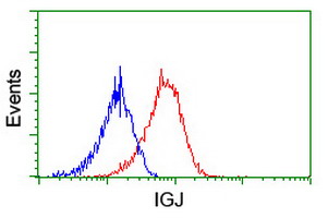 Flow cytometry of HeLa cells, using anti-IGJ antibody (Red), compared to a nonspecific negative control antibody (Blue).