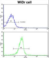 Flow cytometric of widr cells using KLF6 Antibody (bottom histogram) compared to a negative control cell (top histogram). FITC-conjugated goat-anti-rabbit secondary antibodies were used for the analysis.