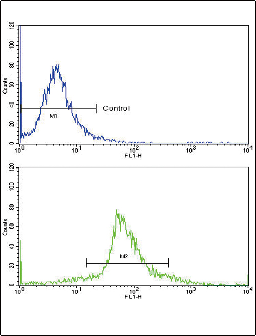 Flow cytometric of widr cells using KLF6 Antibody (bottom histogram) compared to a negative control cell (top histogram)FITC-conjugated goat-anti-rabbit secondary antibodies were used for the analysis.