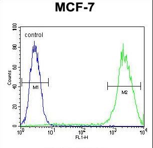 LGALS3 Antibody flow cytometry of MCF-7 cells (right histogram) compared to a negative control cell (left histogram). FITC-conjugated goat-anti-rabbit secondary antibodies were used for the analysis.