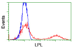 HEK293T cells transfected with either overexpress plasmid (Red) or empty vector control plasmid (Blue) were immunostained by anti-LPL antibody, and then analyzed by flow cytometry.