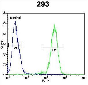 MAN2A1 Antibody flow cytometry of 293 cells (right histogram) compared to a negative control cell (left histogram). FITC-conjugated goat-anti-rabbit secondary antibodies were used for the analysis.